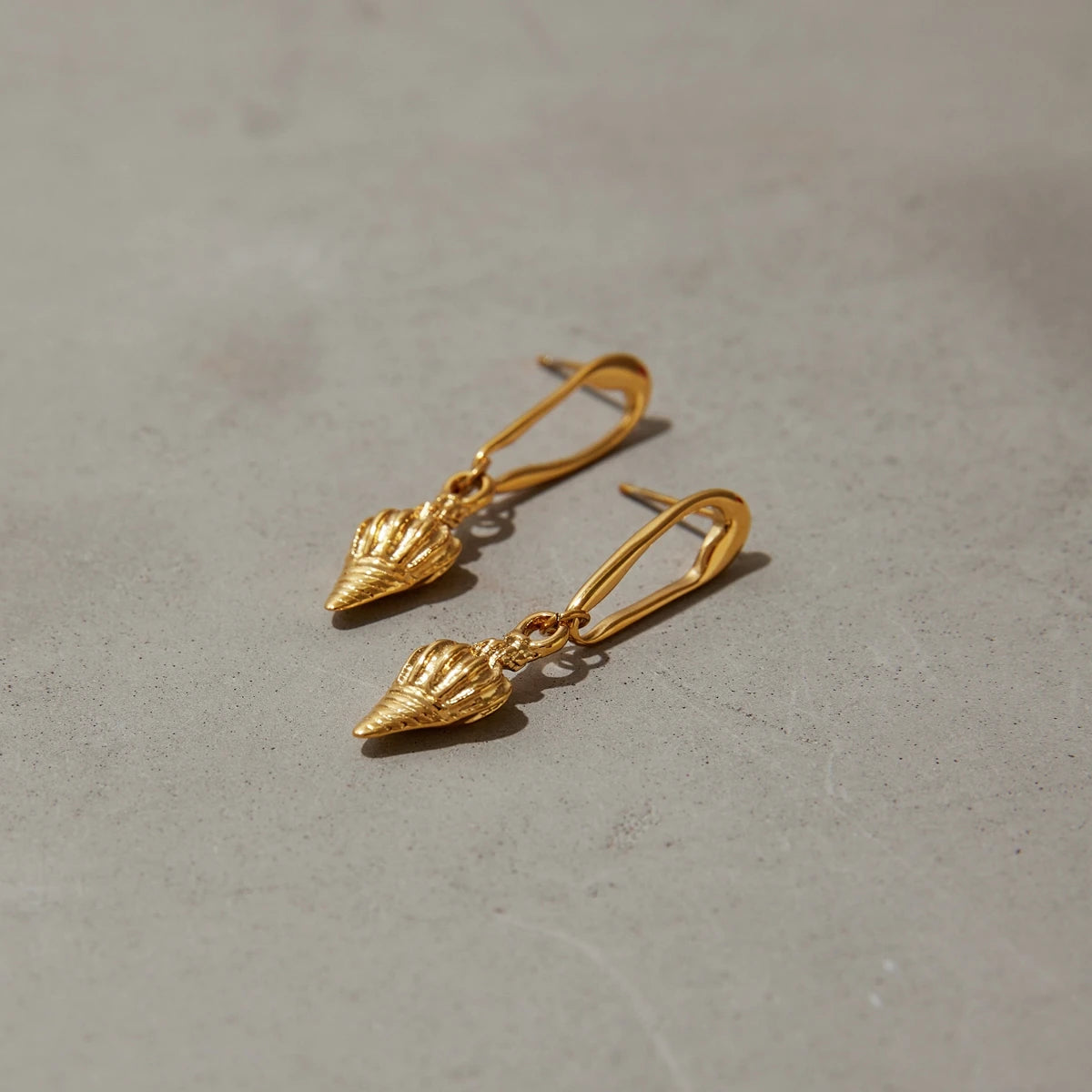 Textured Conch Hollow Drop Earrings