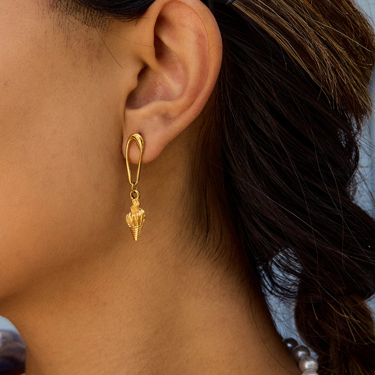 Textured Conch Hollow Drop Earrings