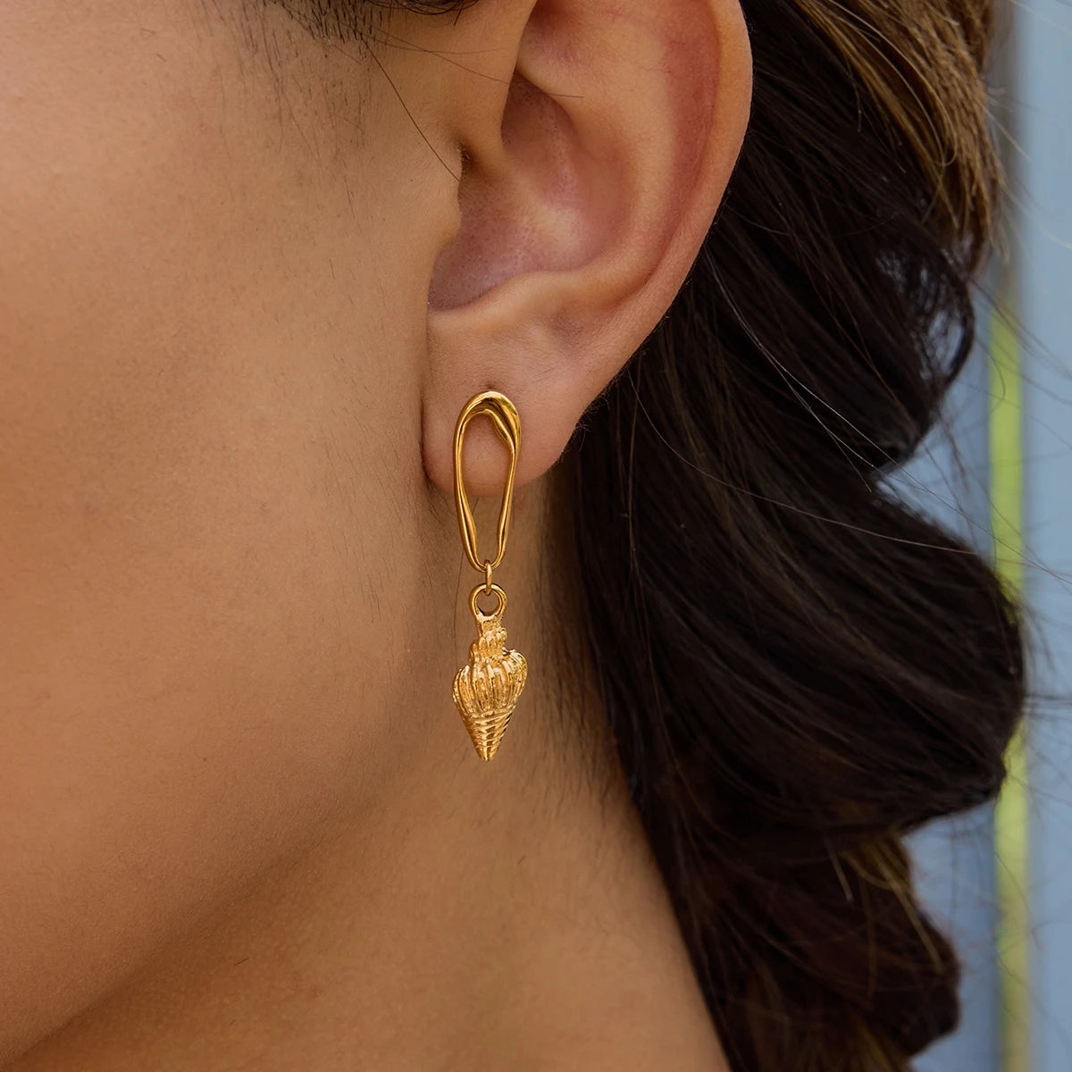 Textured Conch Hollow Drop Earrings