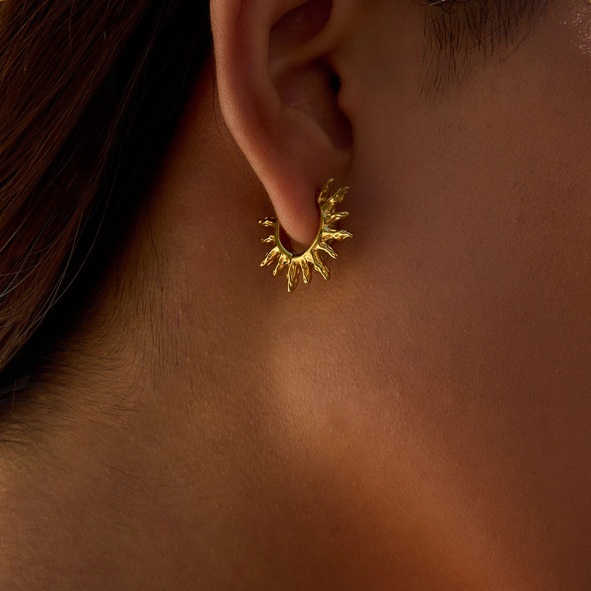 Hollow Sun Earrings