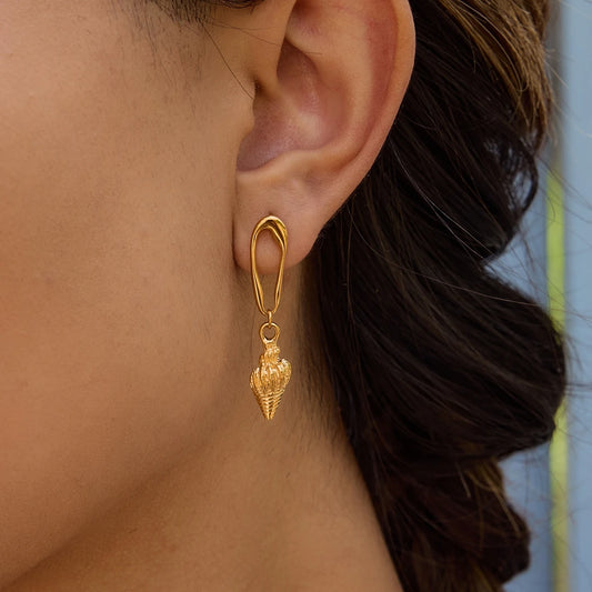 Textured Conch Hollow Drop Earrings
